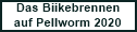 Zum Biikebrennen nach Pellworm