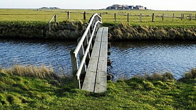 stock hallig hooge