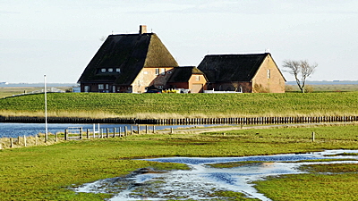 warft hallig hooge