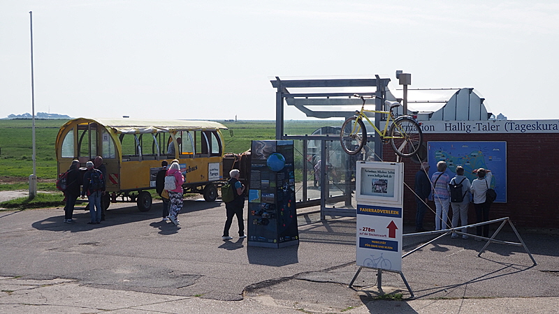 hallig hooge tagesfahrt