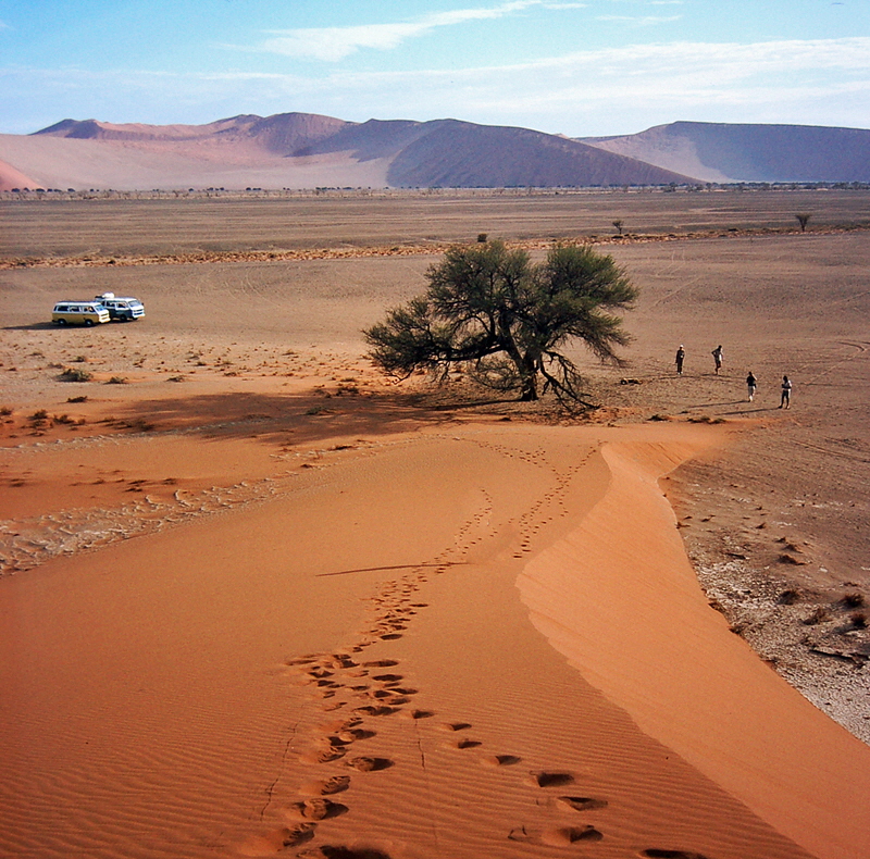 sossusvlei bild 01