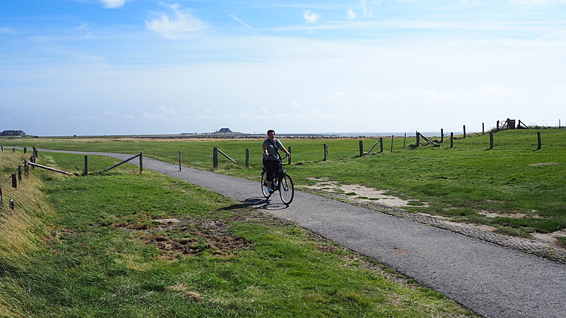 hallig langeness bild 03