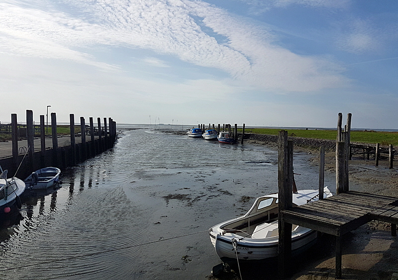 hallig oland hafen bild 01