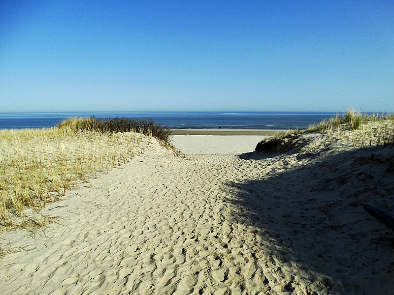 langeoog strand