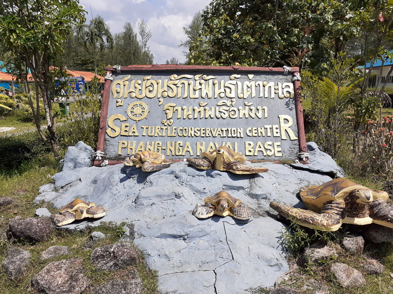 meeresschildkroeten station khao lak