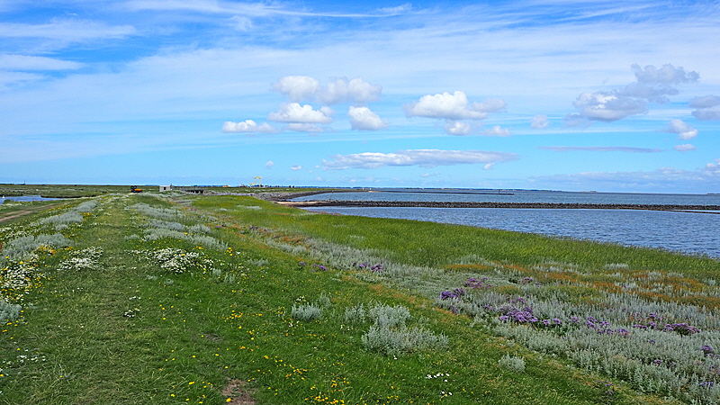 hallig hooge wanderung 01a