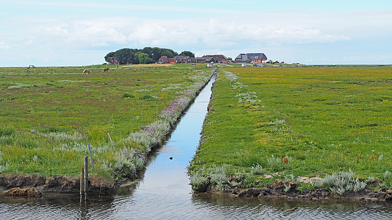 hallig hooge wanderung 03